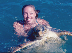 Amanda catching a loggerhead turtle: photo © Lars Bejder