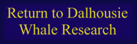 Return to Dalhousie Whale Research