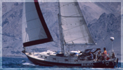 Balaena in Chile