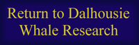 Back to Whale Science at Dal